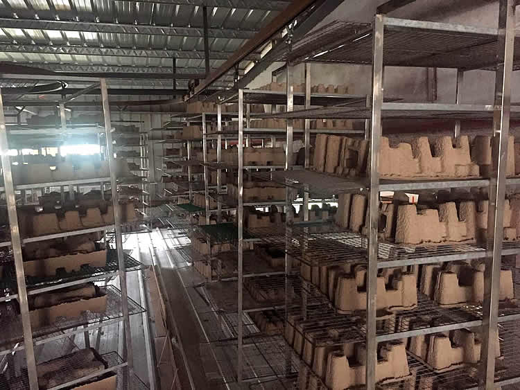 紙托供應商，中山專業的紙托廠